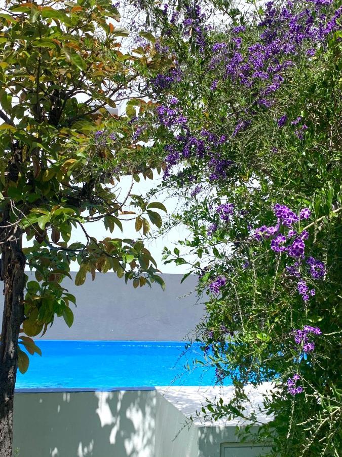 Casa Da Peixa Rooms Estoi Dış mekan fotoğraf
